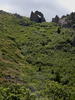 Arch on the ridge